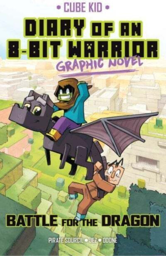 Diary of an 8-Bit Warrior Graphic Novel av Pirate Sourcil