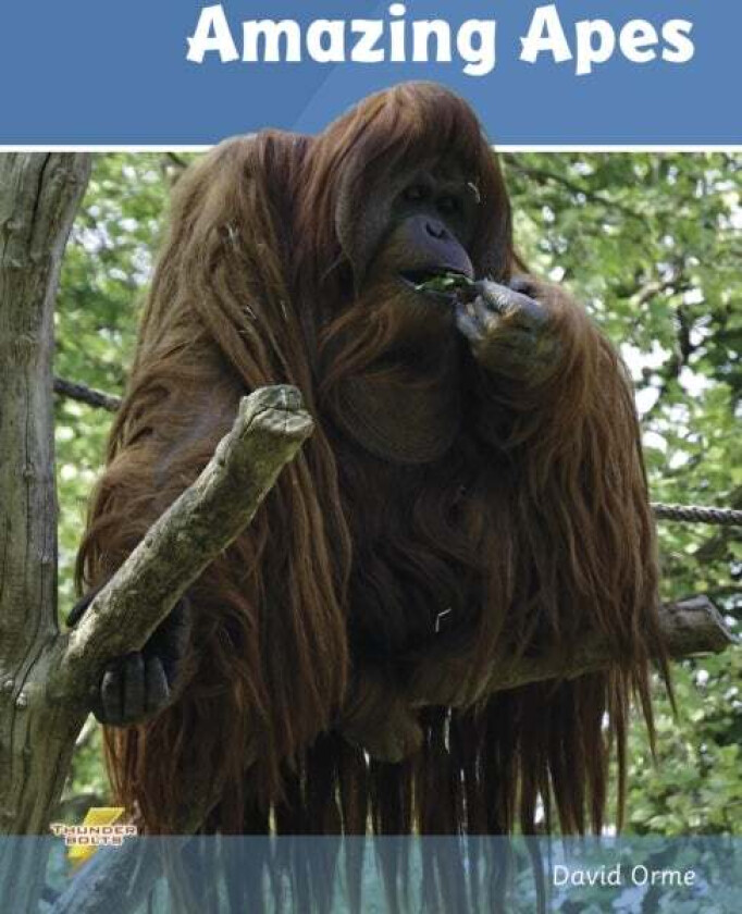 Amazing Apes av Orme David