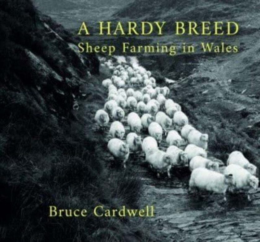 A Hardy Breed av Bruce Cardwell
