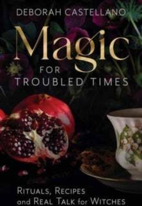 Magic for Troubled Times av Deborah Castellano