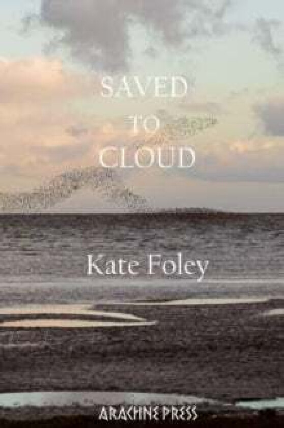 Saved to Cloud av Kate Foley