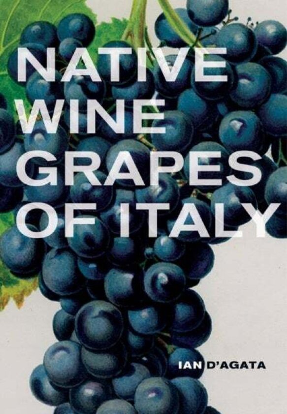 Native Wine Grapes of Italy av Ian D'Agata