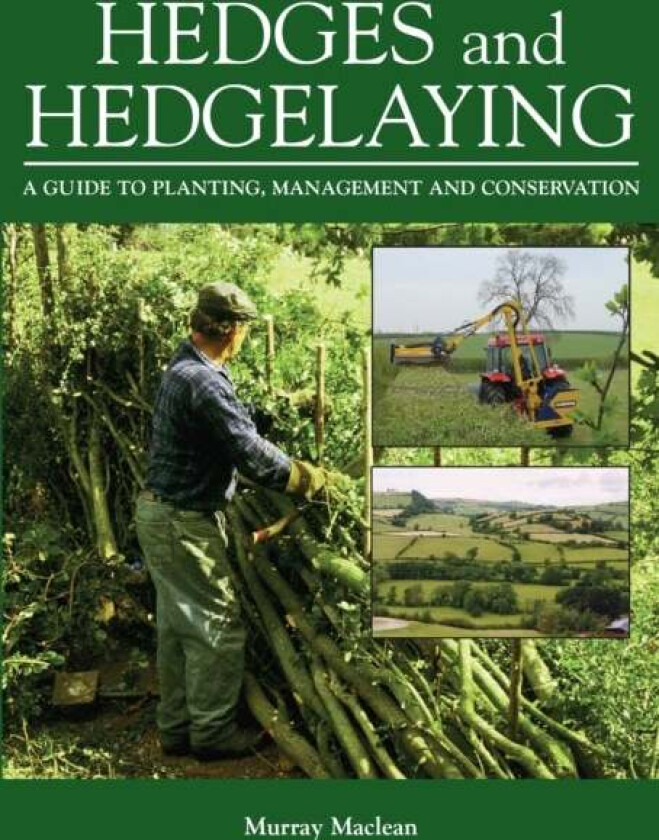 Hedges and Hedgelaying av Murray Maclean