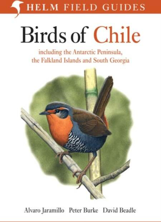 Birds of Chile av Alvaro Jaramillo