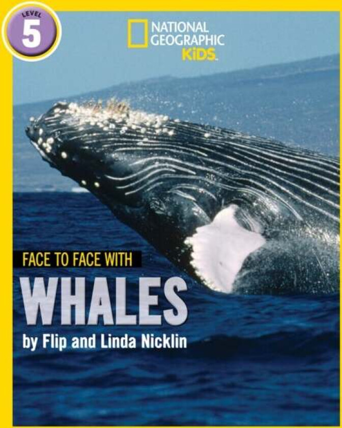 Face to Face with Whales av Flip Nicklin, Linda Nicklin