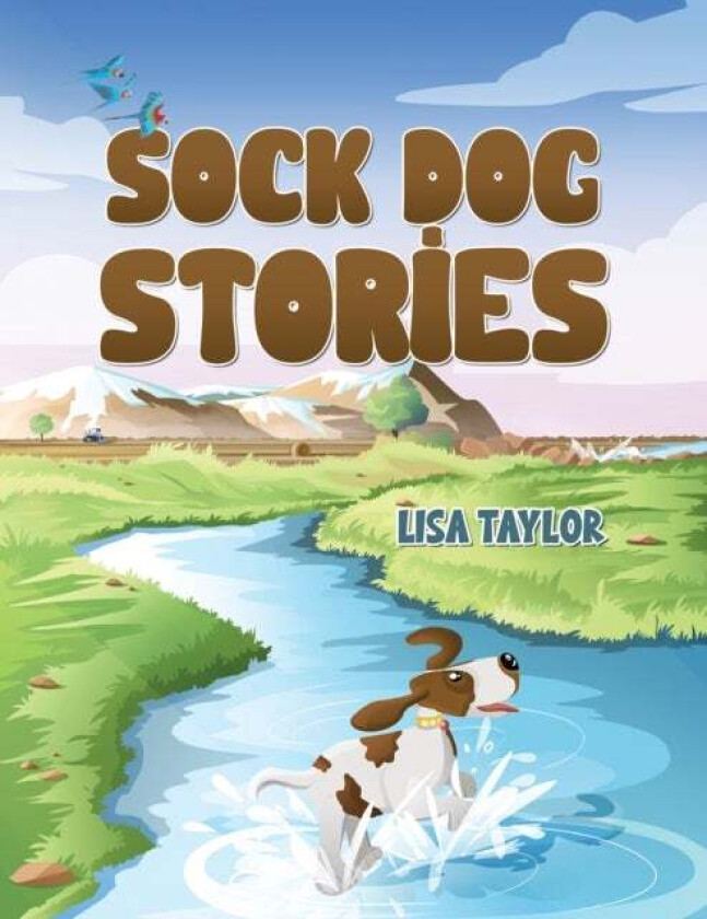 Sock Dog Stories av Lisa Taylor