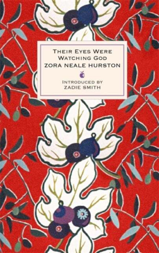 Their Eyes Were Watching God av Zora Neale Hurston