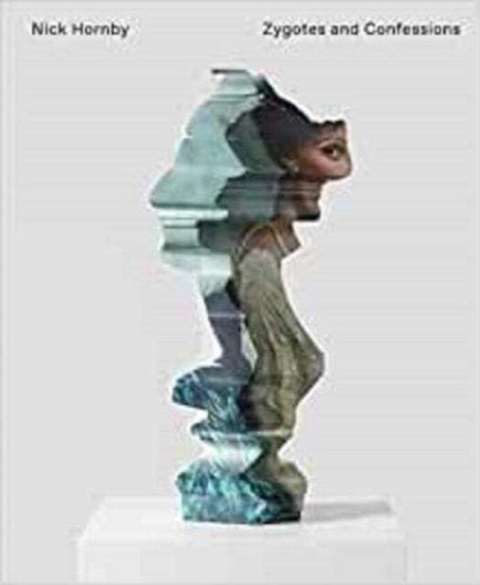 Nick Hornby - Zygotes and Confessions av Nick Hornby, Alfredo Cramerotti, Helen Boyd, Matt Price