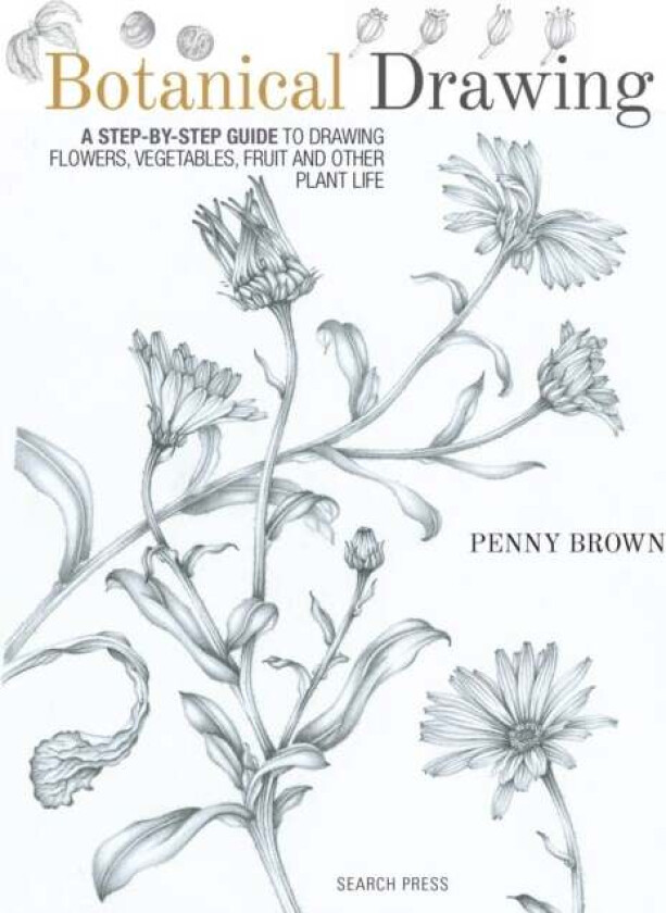 Botanical Drawing av Penny Brown