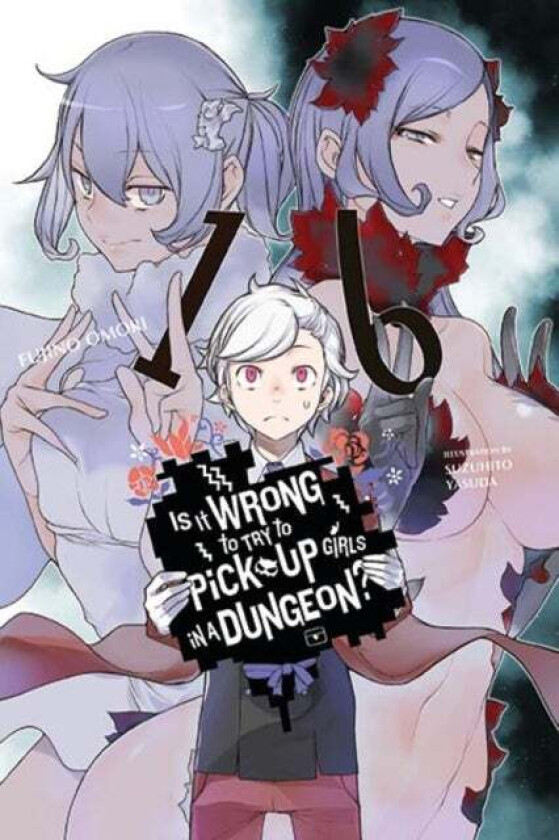 Is It Wrong to Try to Pick Up Girls in a Dungeon?, Vol. 16 (light novel) av Fujino Omori