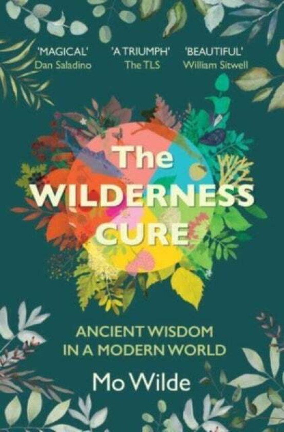 The Wilderness Cure av Mo Wilde