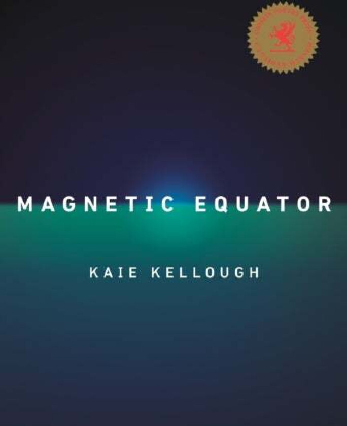Magnetic Equator av Kaie Kellough