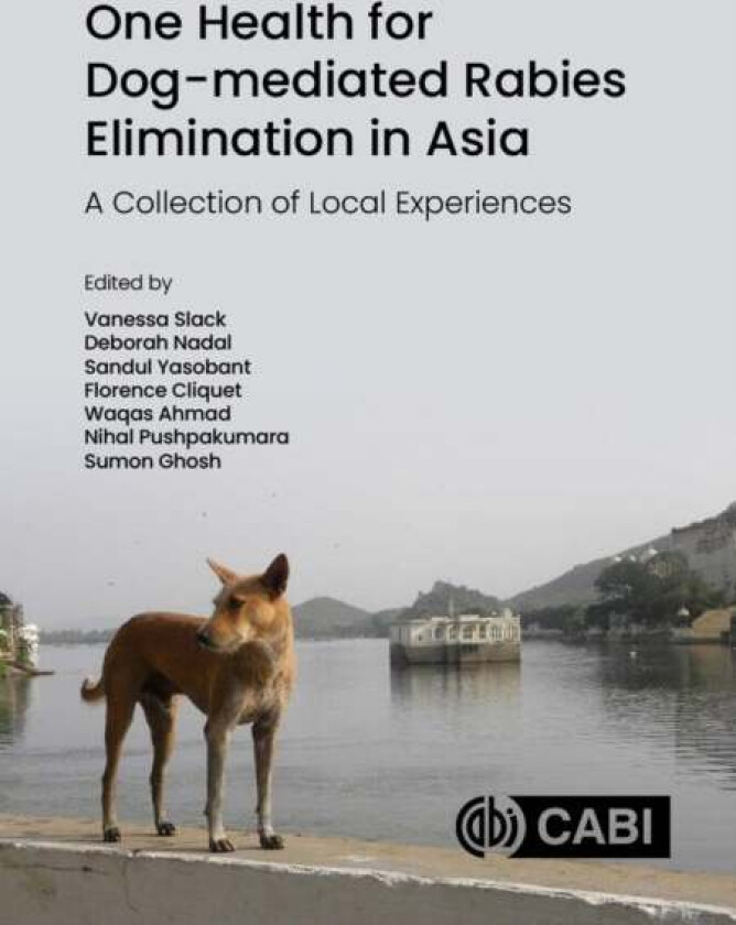 One Health for Dog-Mediated Rabies Elimination in Asia