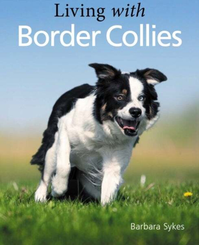 Living with Border Collies av Barbara Sykes