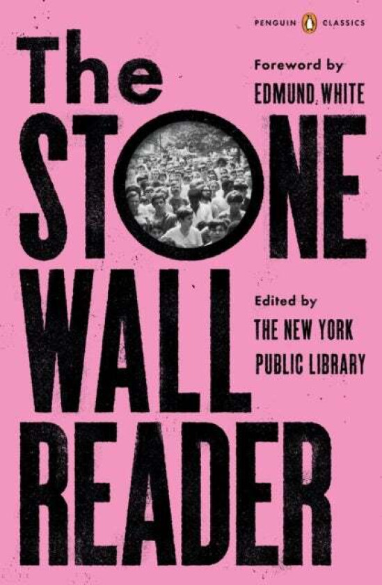 The Stonewall Reader av Edmund White