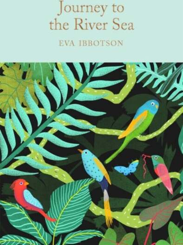 Journey To The River Sea Av Eva Ibbotson