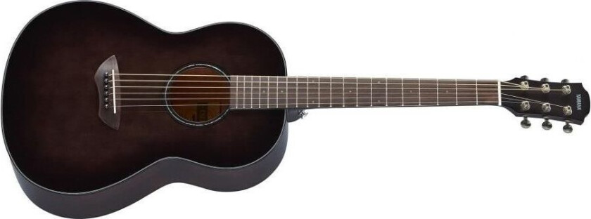 Csf1m Translucent Black Guitar