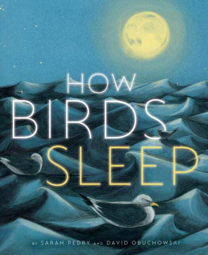 How Birds Sleep av David Obuchowski