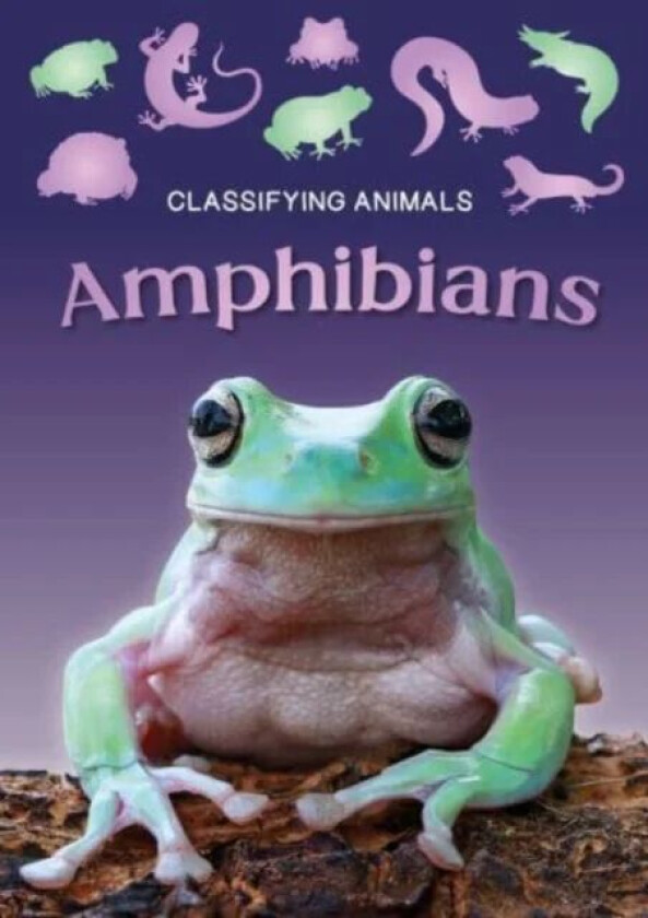 Amphibians av Charlie Ogden