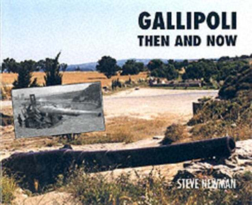 Gallipoli av Steve Newman