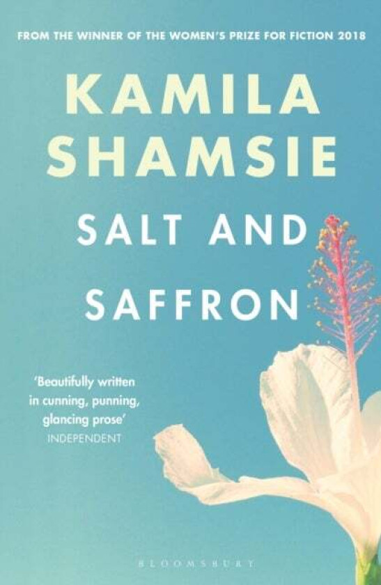 Salt and Saffron av Kamila Shamsie