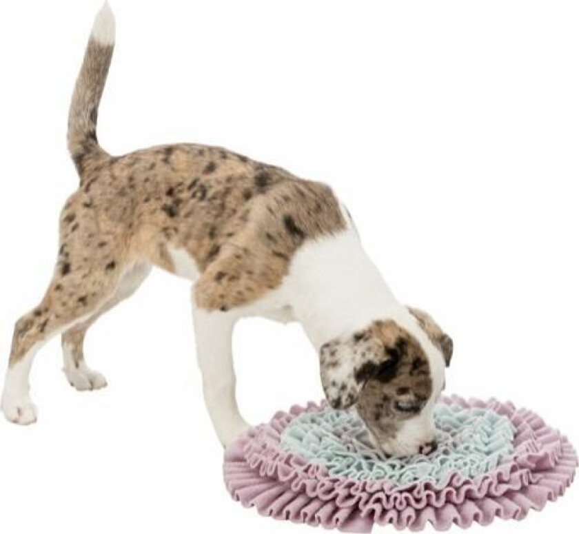 Trixie Junior Aktiveringsmatte 38 cm