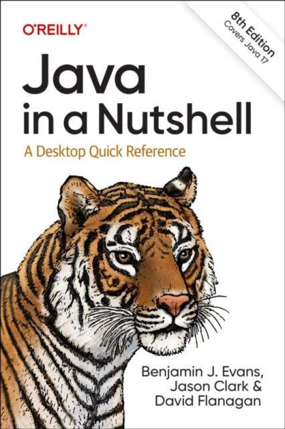 Java in a Nutshell av Benjamin J Evans, Jason Clark, David Flanagan