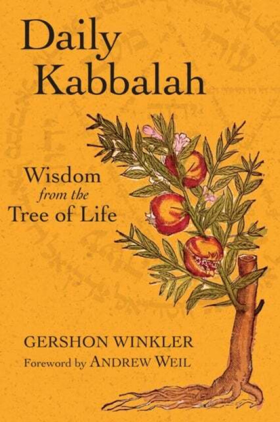 Daily Kabbalah av Gershon Winkler