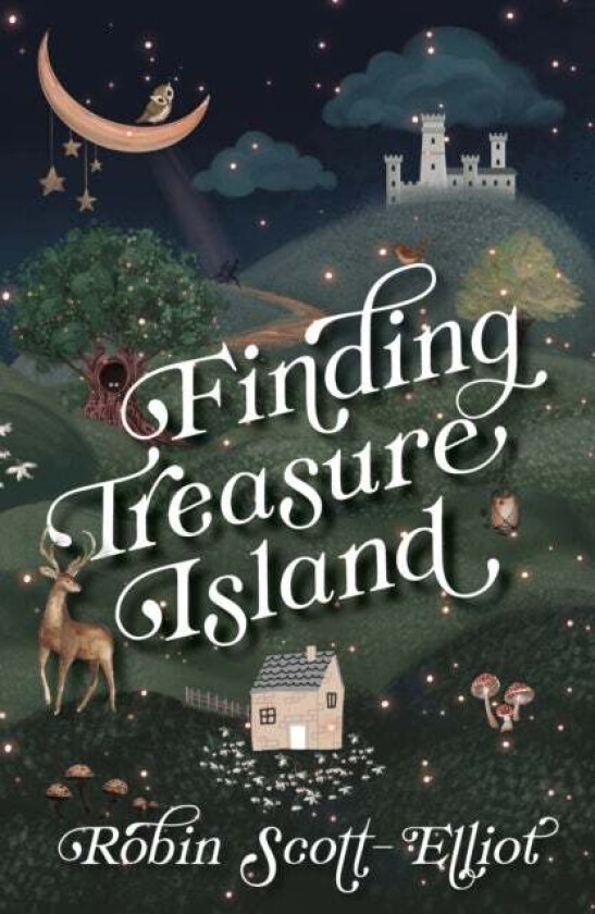 Finding Treasure Island Av Robin Scott-Elliot
