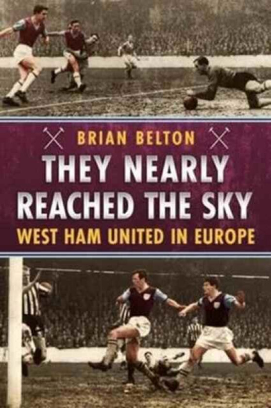 They Nearly Reached the Sky av Brian Belton