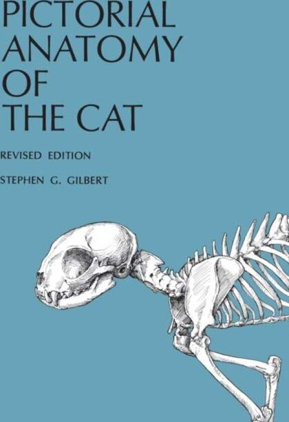 Pictorial Anatomy of the Cat av Stephen G. Gilbert