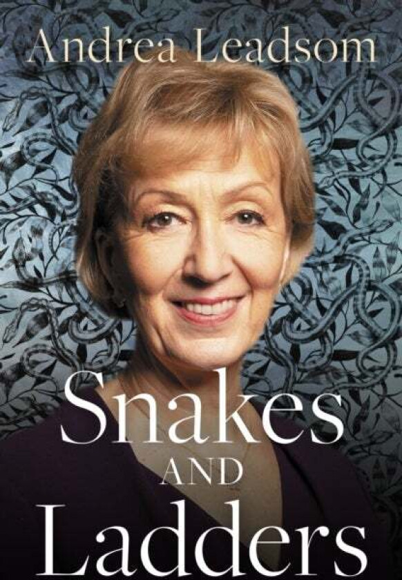 Snakes and Ladders av Andrea Leadsom