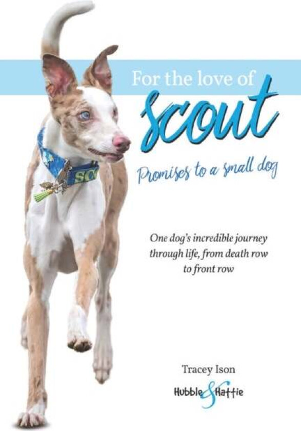 For the Love of Scout av Tracey Ison