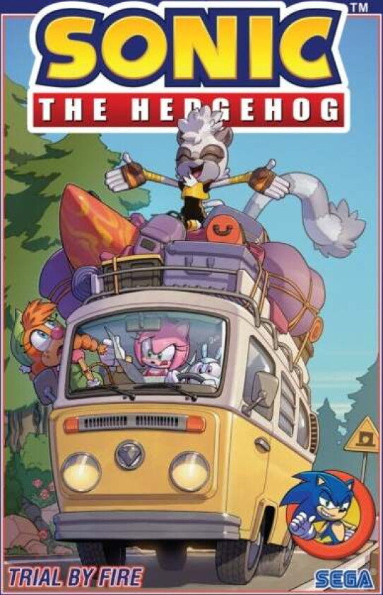 Sonic the Hedgehog, Vol. 12: Trial by Fire av Evan Stanley