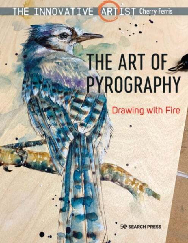 The Innovative Artist: The Art of Pyrography av Cherry Ferris
