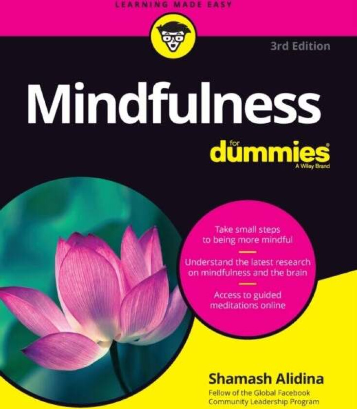 Mindfulness For Dummies av Shamash Alidina