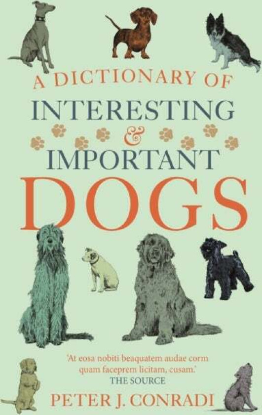 A Dictionary of Interesting and Important Dogs av Peter Conradi, Peter J. Conradi