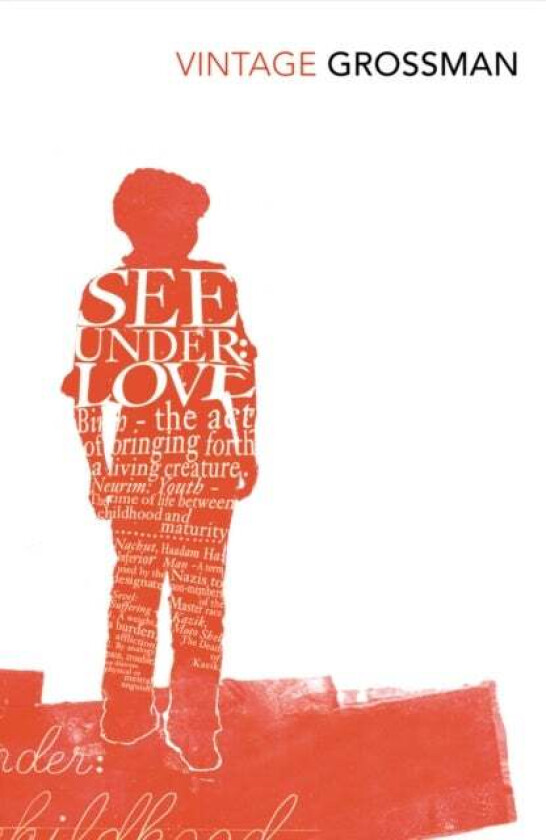 See Under Love av David Grossman