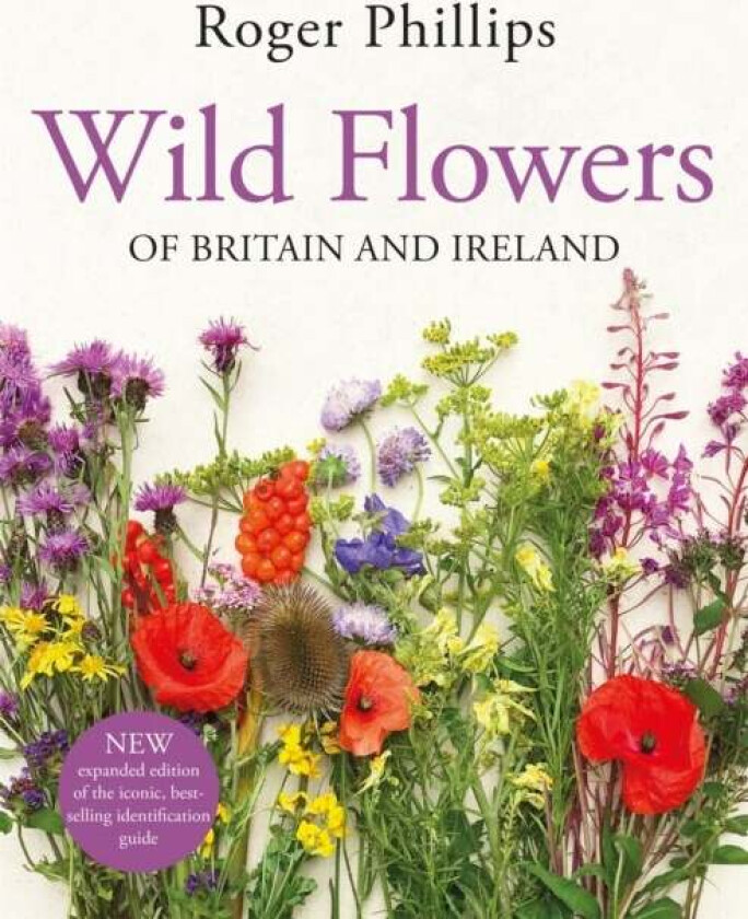 Wild Flowers Av Roger Phillips