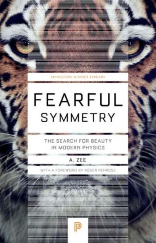 Fearful Symmetry av Anthony Zee