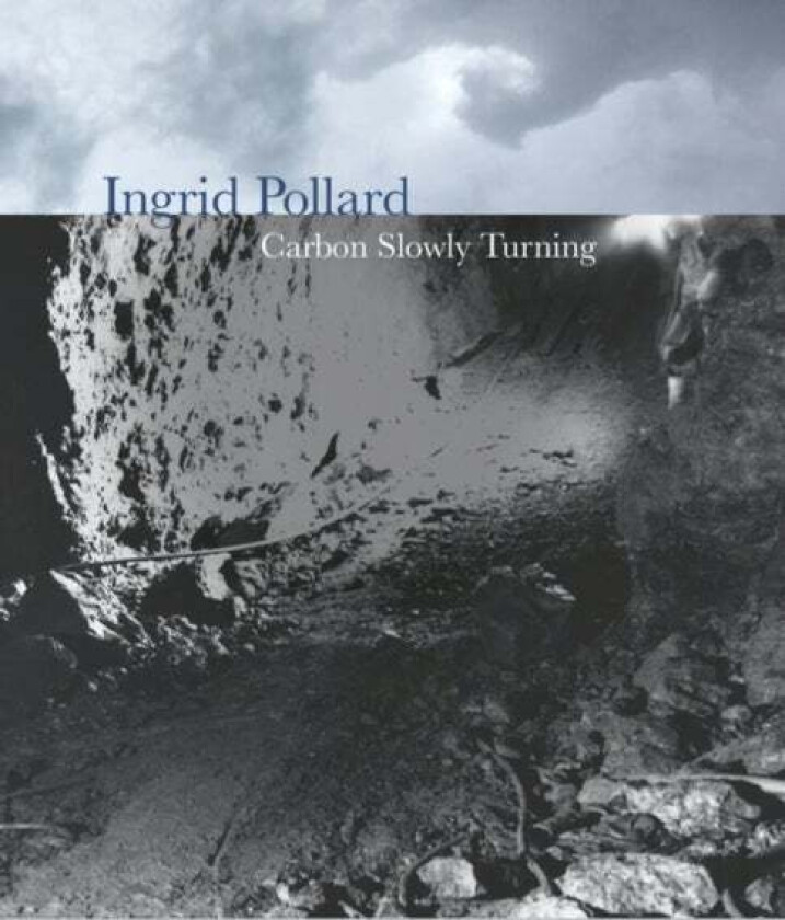 Ingrid Pollard av Fay Blanchard, Anthony Spira