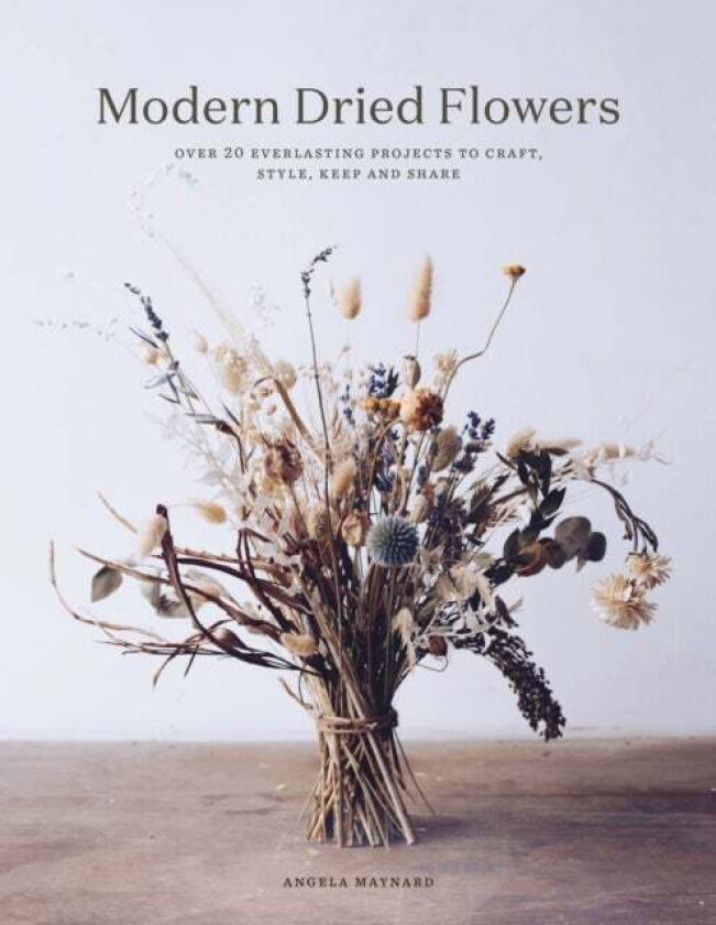 Modern Dried Flowers av Angela Maynard
