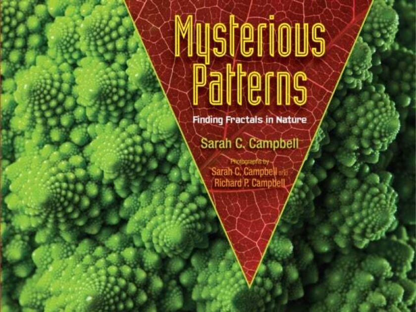 Mysterious Patterns av Sarah C. Campbell
