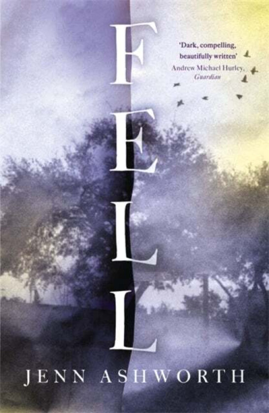 Fell av Jenn Ashworth