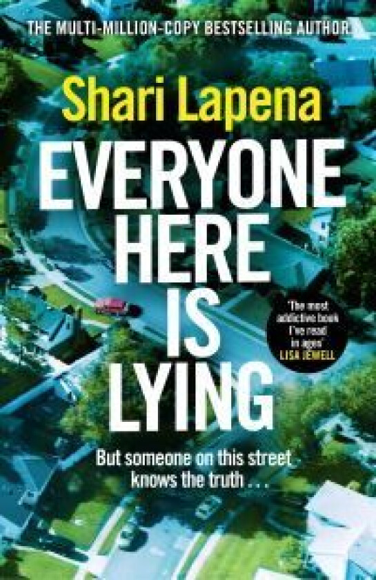 Everyone Here is Lying av Shari Lapena