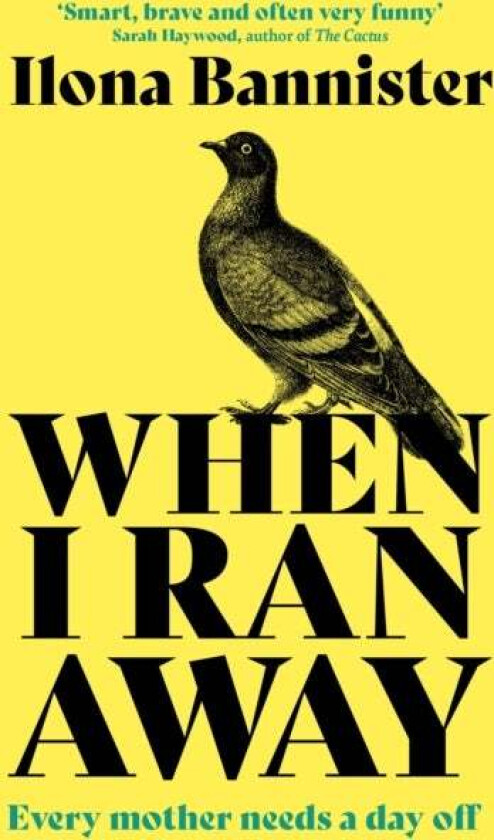 When I Ran Away av Ilona Bannister