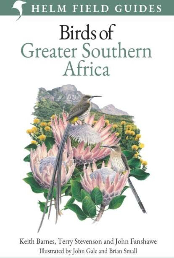 Field Guide to Birds of Greater Southern Africa av Terry Stevenson, John Fanshawe, Keith Barnes