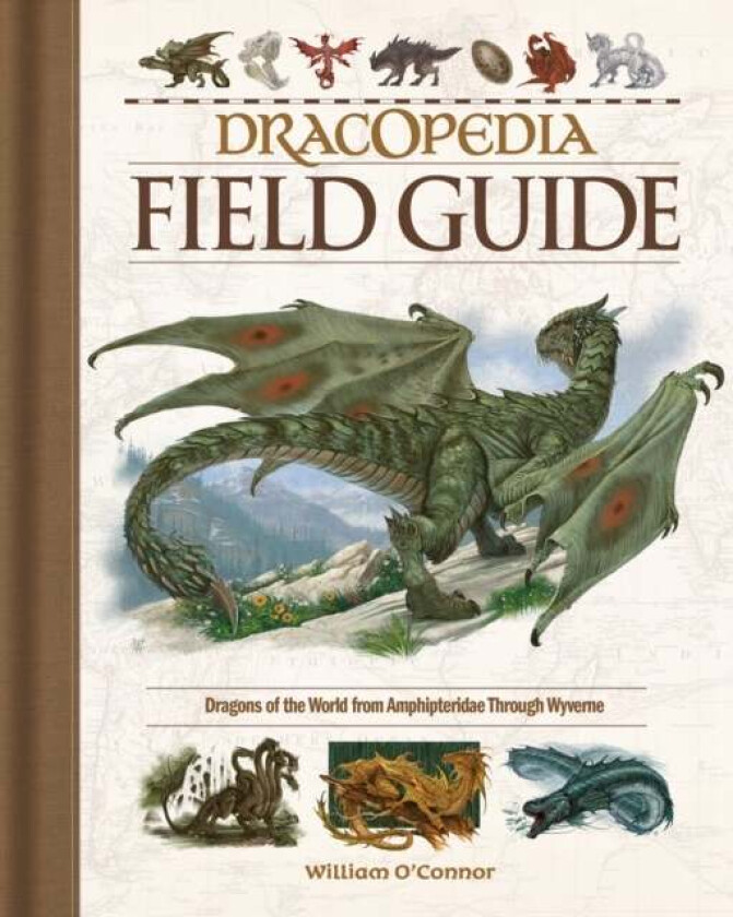 Dracopedia Field Guide av William O'Connor
