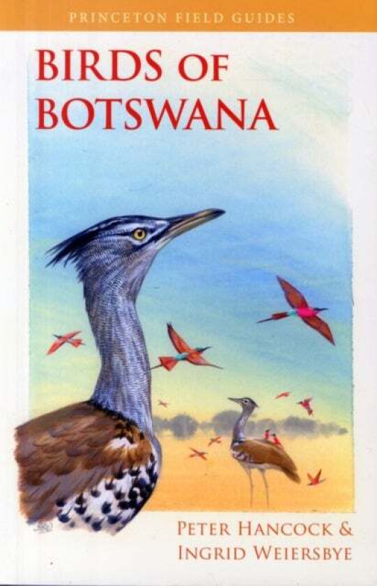 Birds of Botswana av Peter Hancock, Ingrid Weiersbye