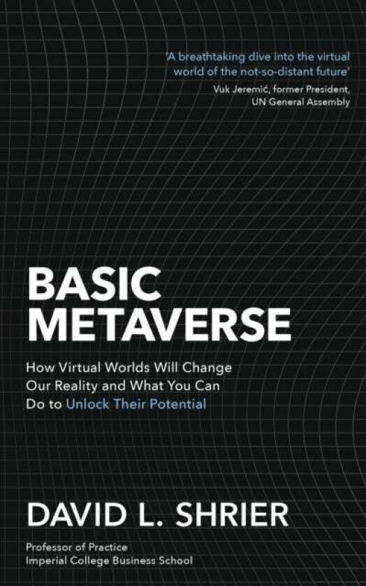 Basic Metaverse av David Shrier